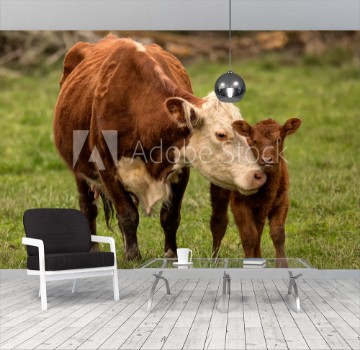 Bild på Momma Cow and Calf